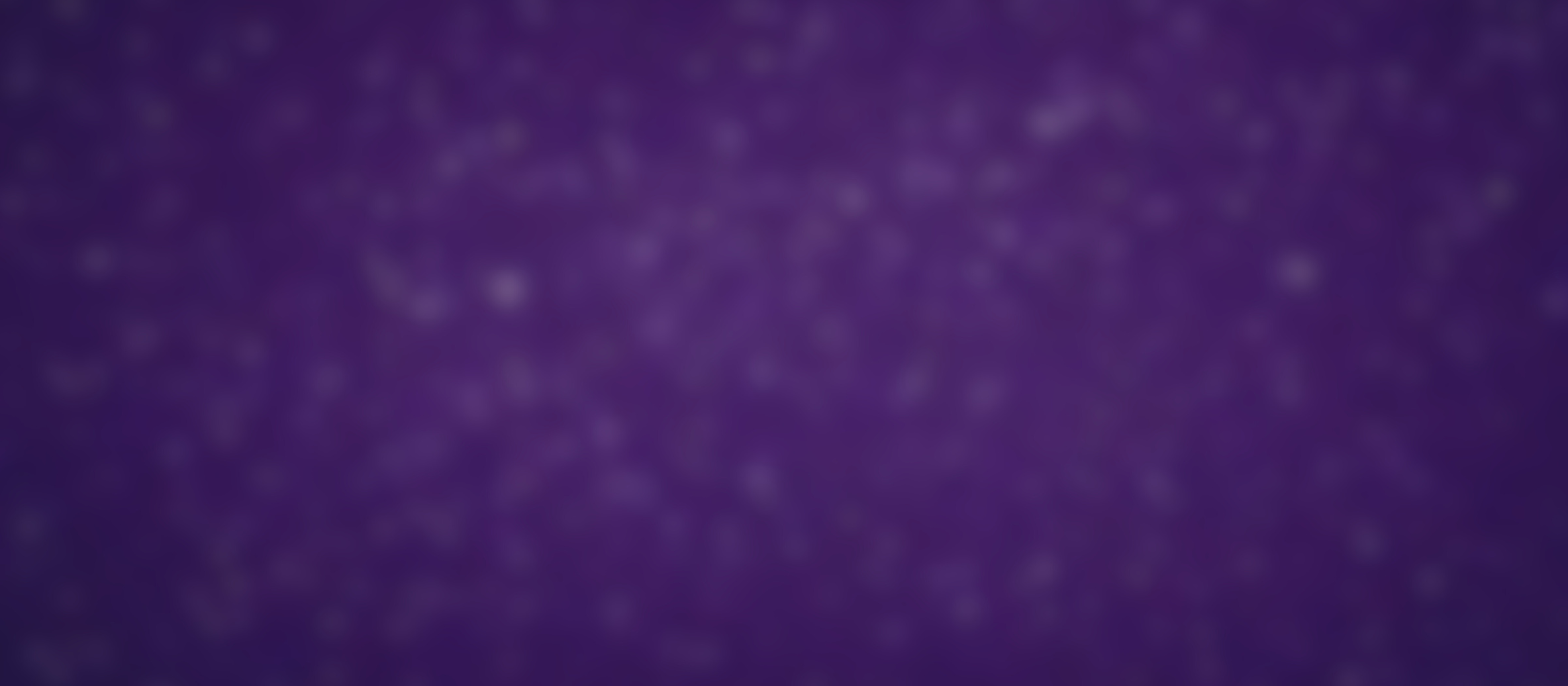 Court-Approved Auction of Seraphine USA, Inc.